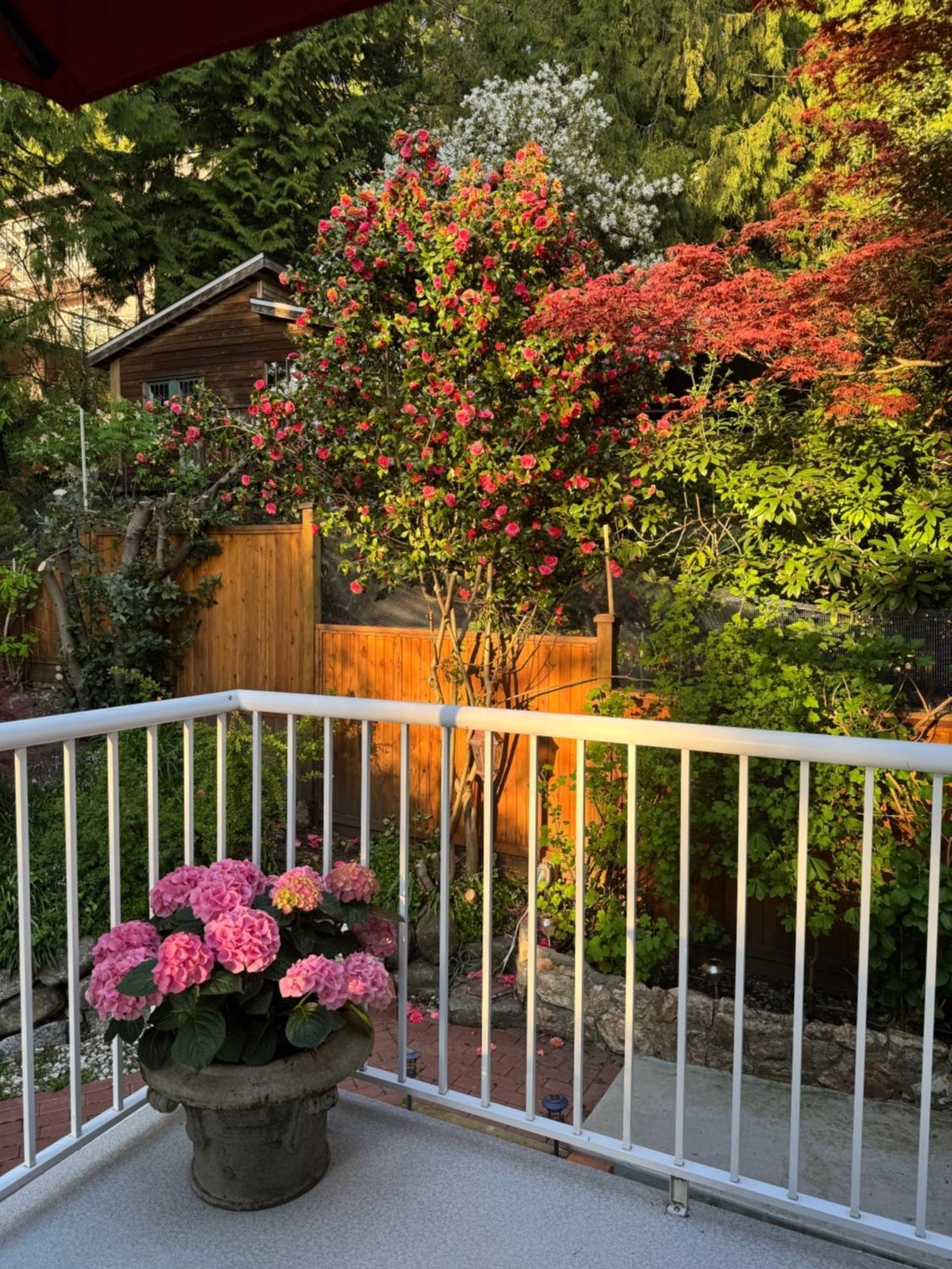 Beautiful Modern Suite North Vancouver Dış mekan fotoğraf