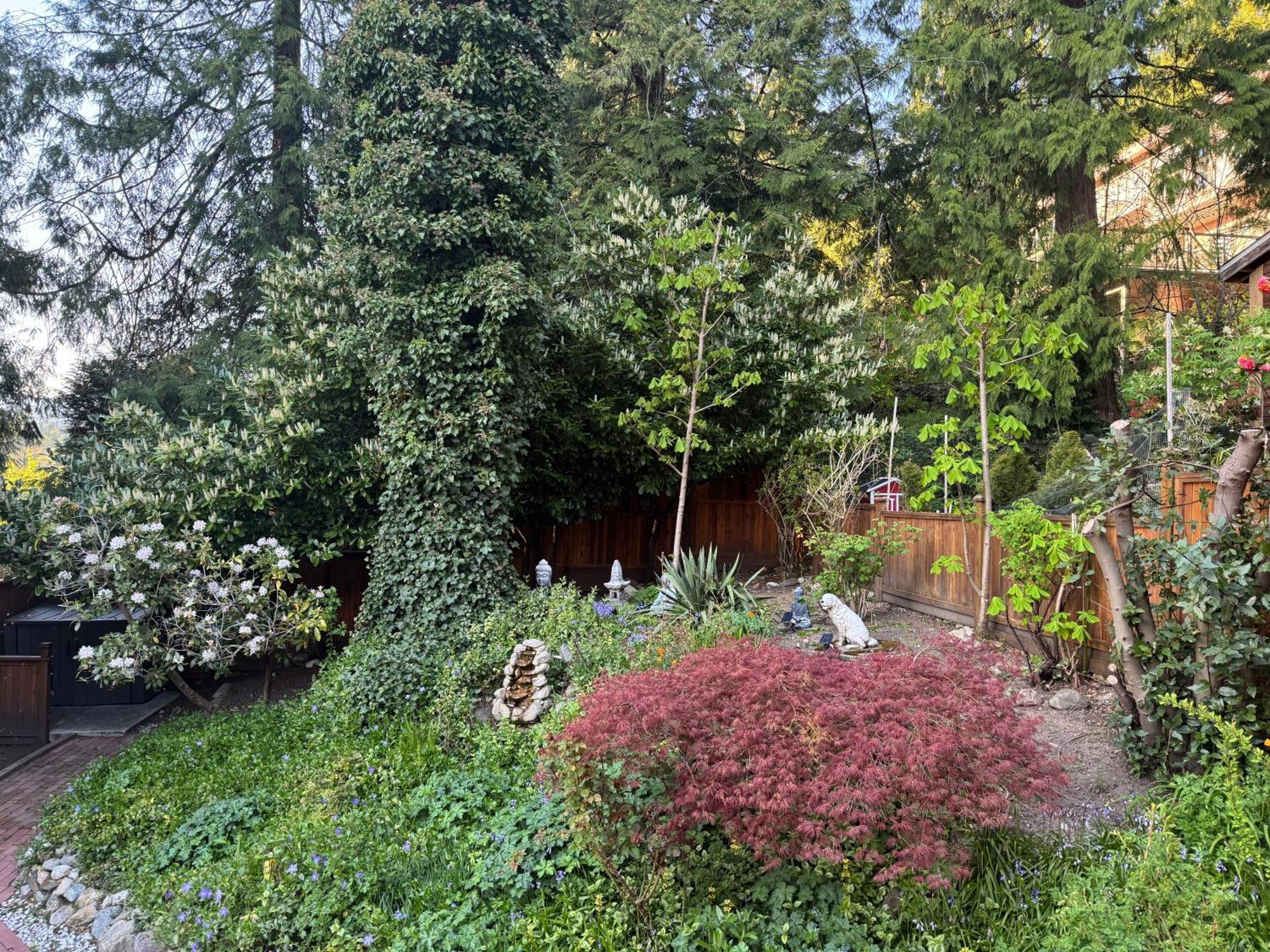 Beautiful Modern Suite North Vancouver Dış mekan fotoğraf